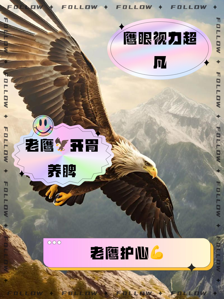 关于老鹰表现抢眼，领先优势不容忽视！的信息